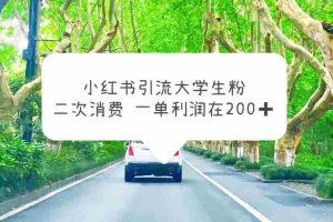 (5914期)小红书引流大学生粉,变现项目,一单利润在200+(教程+资源)