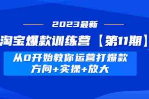 （4784期）淘宝爆款训练营【第11期】 从0开始教你运营打爆款，方向+实操+放大