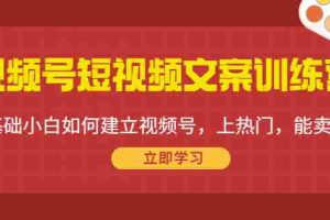 （4266期）视频号短视频文案训练营：0基础小白如何建立视频号，上热门，能卖货！