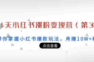 （3795期）21天小红书涨粉变现营（第3期）：带你掌握小红书爆款玩法，月赚10W+秘密