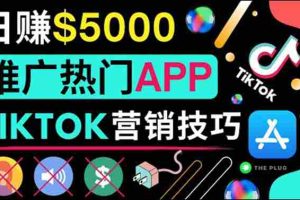 （3486期）无需露脸，无需录音，无需投资，TIKTOK上传短视频，最高日入5000美元
