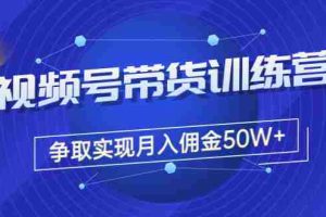 (3235期)收费4980的《视频号带货训练营》争取实现月入佣金50W+(课程+资料+工具)