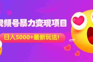 (3218期)外面收费699的视频号暴力变现项目,日入5000+,简单易操作当天见效果