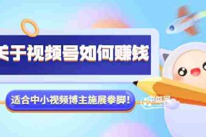(3064期)某公众号付费文章《关于视频号如何赚钱》适合中小视频博主施展拳脚!