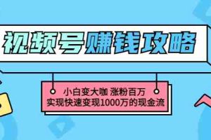 (3020期)玩转微信视频号赚钱:小白变大咖 涨粉百万 实现快速变现1000万的现金流