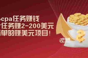 (2966期)国外cpa任务赚钱:一个任务赚2-200美元,最简单的赚美元项目!