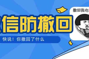 (2761期)智微VX多开防撤回助手 一键免扫码登录(永久免费电脑版+教程)