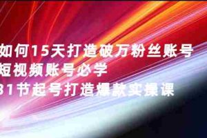 （2656期）如何15天打造破万粉丝账号：短视频账号必学，31节起号打造爆款实操课