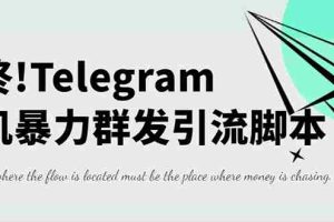 (2653期)外面收费5000的飞机群发器,永久版脚本+详细教程
