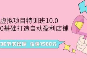 （2497期）虚拟项目特训班10.0，0基础打造自动盈利店铺 36节实操课