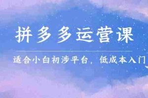 （2323期）拼多多运营课，适合小白初涉平台，低成本入门 创造销量和利润的方法