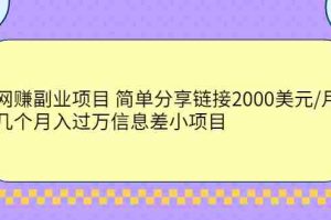 (2302期)网赚副业项目 简单分享链接2000美元/月+几个月入过万信息差小项目