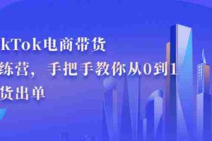（2172期）TikTok电商带货训练营，手把手教你从0到1带货出单