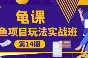 （1479期）龟课《闲鱼项目玩法实战班第14期》批量细节玩法，一个月收益几万
