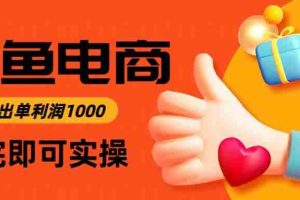 (14893期)闲鱼高利润电商,入门到出单只需3小时,每天利润1000