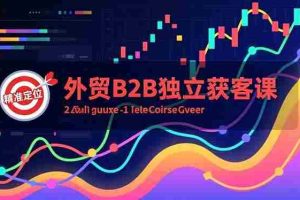 （16856期）外贸B2B独立获客课，Facebook主页搭建、消息互动广告、精准定位，打造高询盘系统